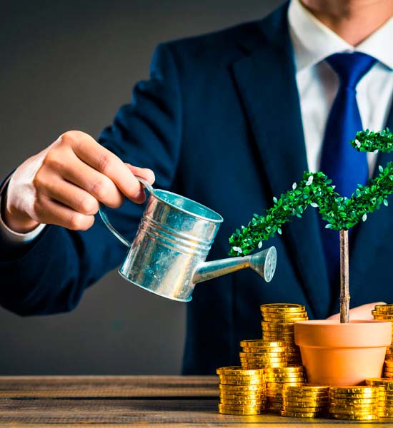 Inversión Avanza - Para inversores experimentados